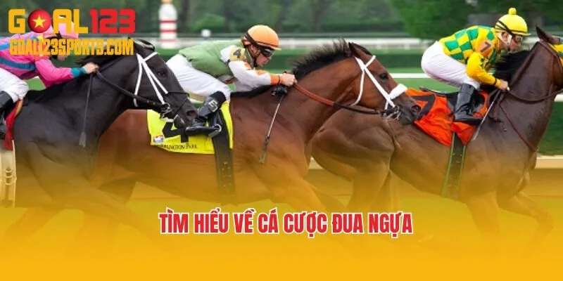 Tìm hiểu về cá cược đua ngựa