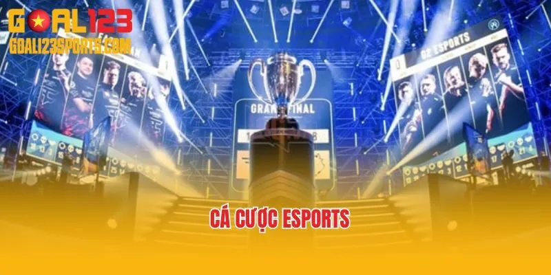 Một Số Hình Thức Cá Cược Esports Vào Kinh Nghiệm Dự Đoán 