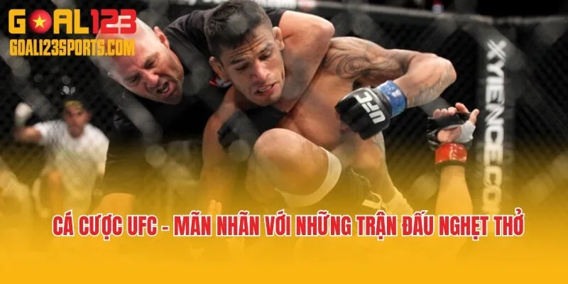 Cá Cược UFC - Mãn Nhãn Với Những Trận Đấu Nghẹt Thở